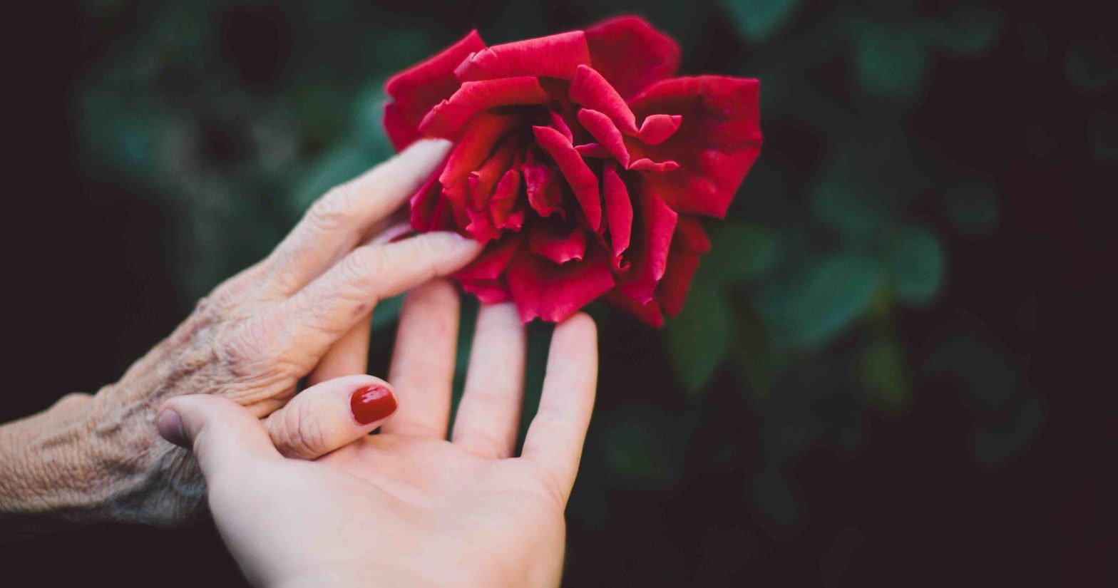 mother daughter relationship